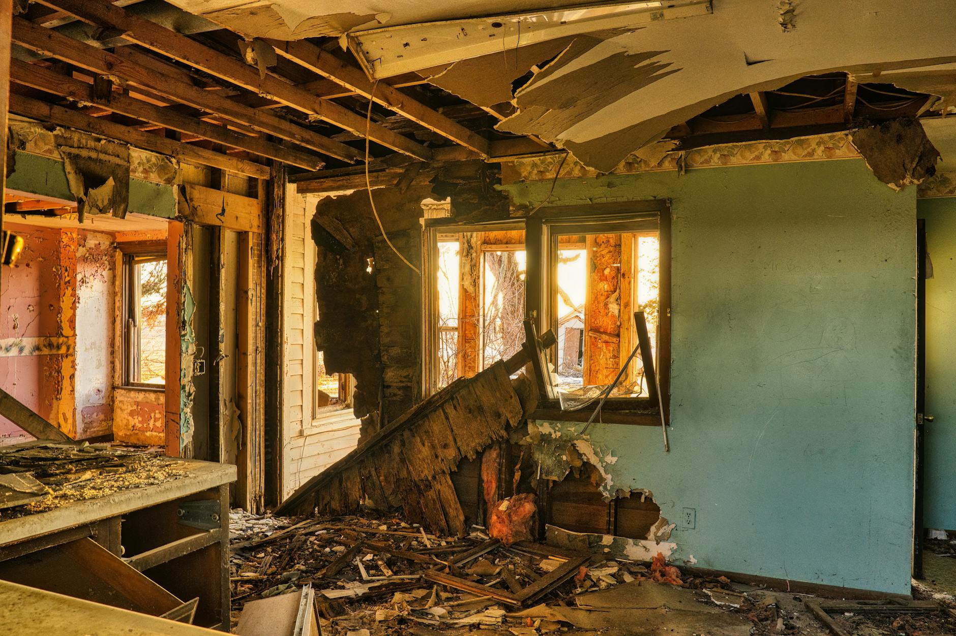 Mold Removal Mold Gallery Medley